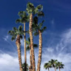 Meet your Posher, Gregory